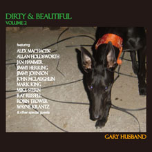 DIRTY & BEAUTIFUL VOLUME 2／GARY HUSBAND
