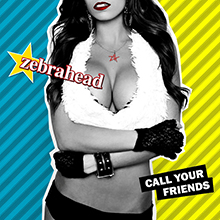 CALL YOUR FRIENDS／ZEBRAHEAD