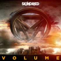 VOLUME／SKINDRED