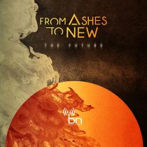 FROM ASHES TO NEW - THE FUTURE