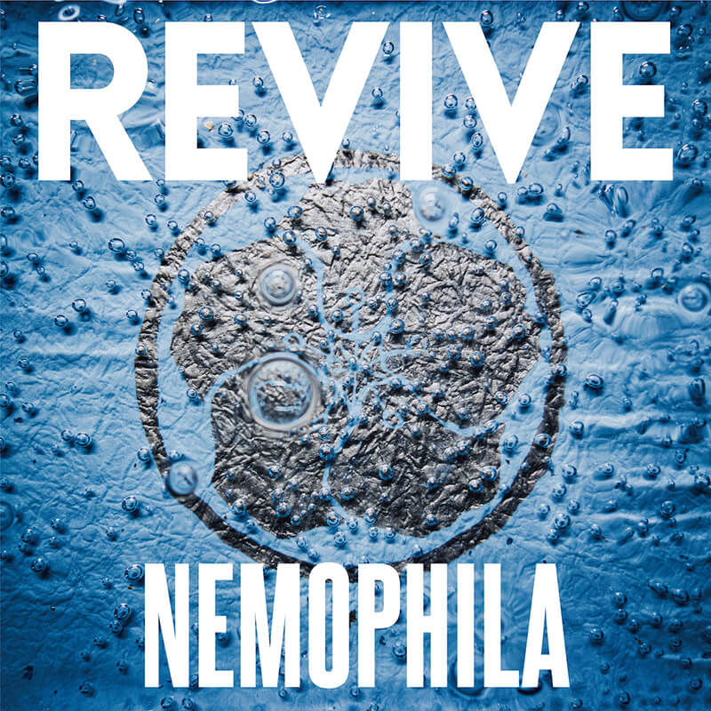 REVIVE／NEMOPHILA：気鋭の女性５人組バンド、待望の1stアルバム