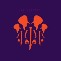 JOE SATRIANI - THE ELEPHANTS OF MARS