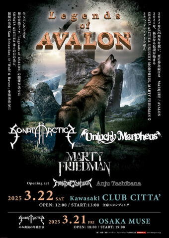 Legends of Avalon フライヤー