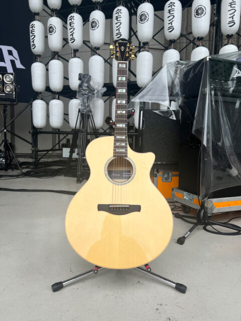 アイバニーズ“AE390”