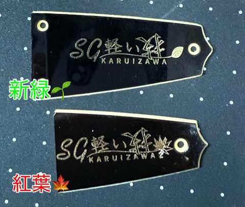 高中正義、白熱のL.A.公演とニュー・ギターを語る – YOUNG GUITAR