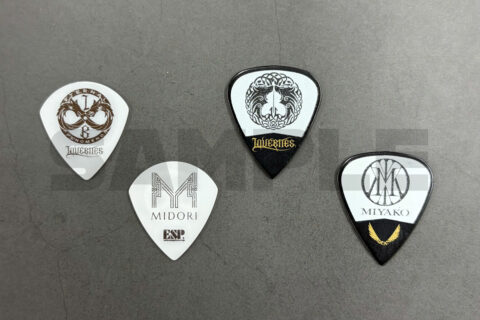 ピック サンプル画像